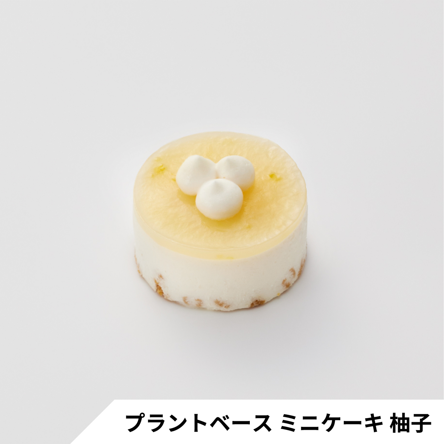 【プラントベース】ミニケーキ2種 食べ比べセット